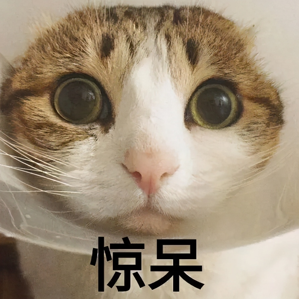 奇闻异事女子怀孕4年,奇闻怪事女子怀孕4年