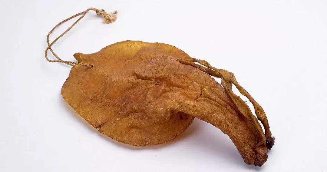 鱼胶为什么最近升价了,为什么鱼胶越久越贵