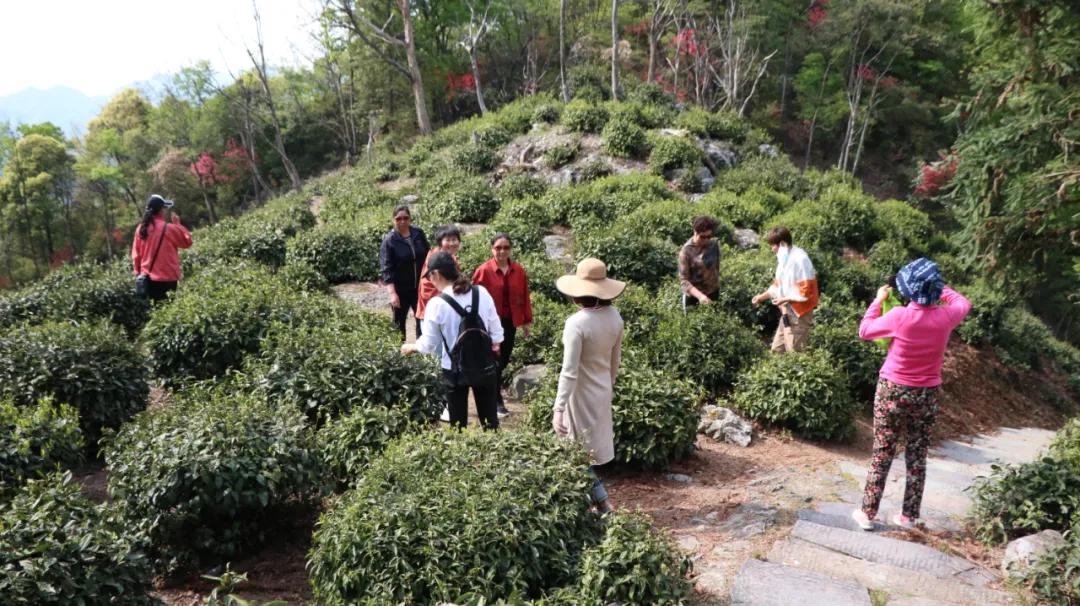 石台仙寓山附近哪里好玩,石台仙寓镇云里居