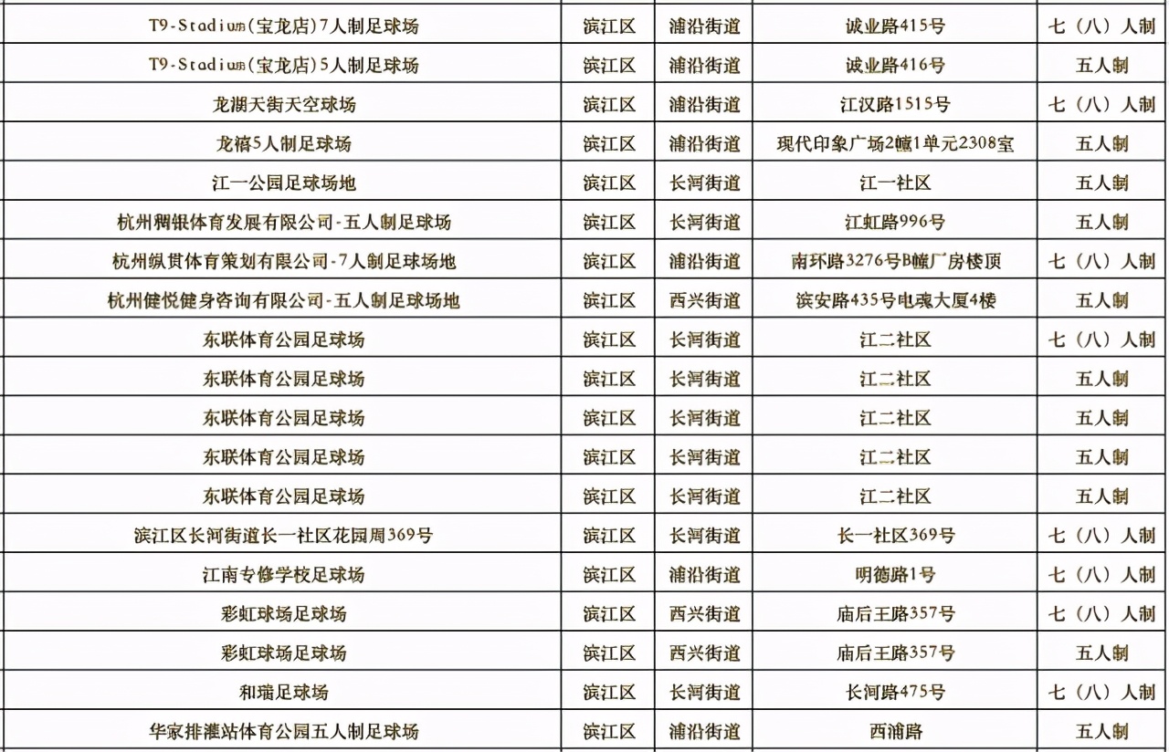 杭州亚运足球场地,杭州有没有标准的足球场