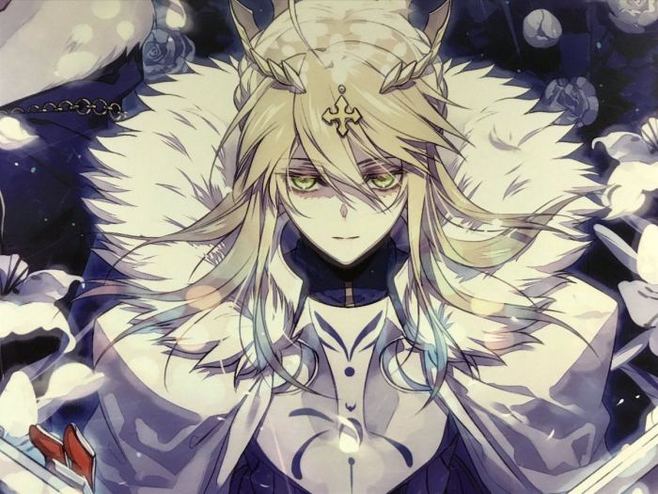 fgo弓阶红卡光炮,fgo狂阶红卡光炮