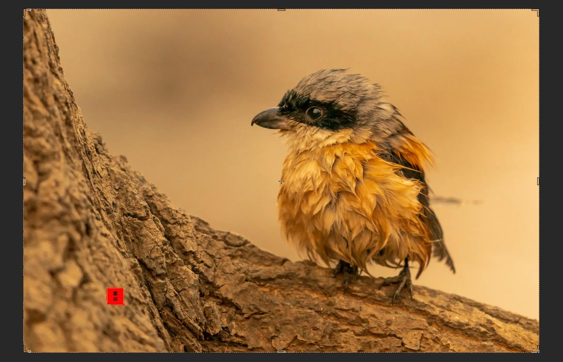 暴雪要来了最低零下三十度,暴雪真的要来了吗