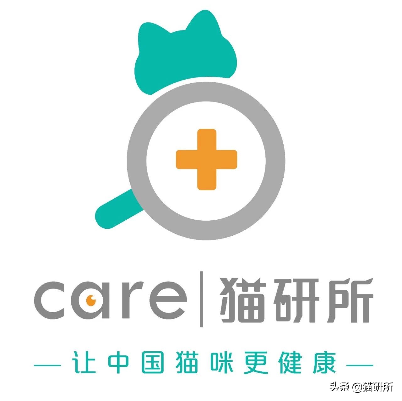 猫咪为什么喜欢马桶水,为啥猫咪喜欢喝洗澡水