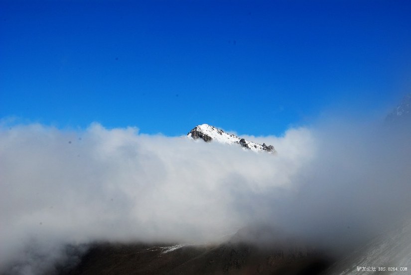 狼c调简谱教唱,狼c