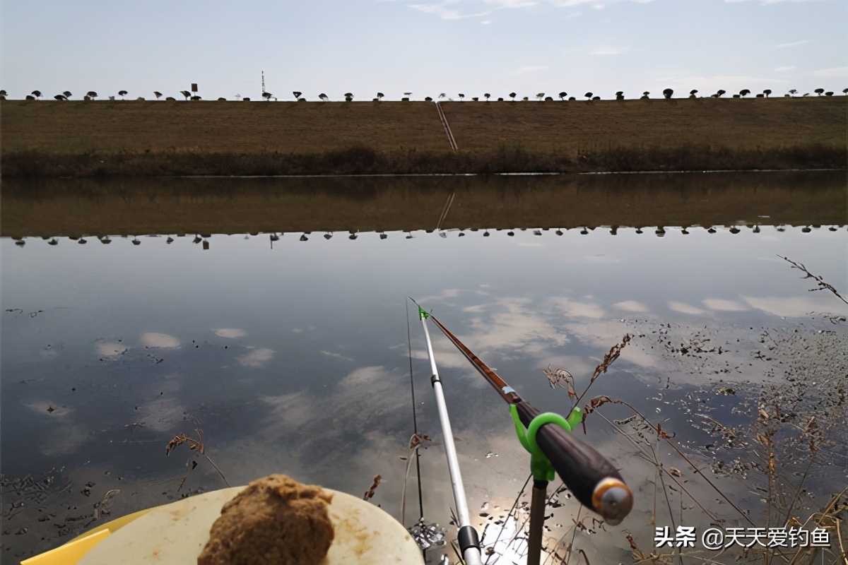 钓鱼最佳天气和时间,冬季阴天钓鱼的最佳时间段