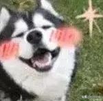 广州的粤剧茶座,广州哪里还有讲古的