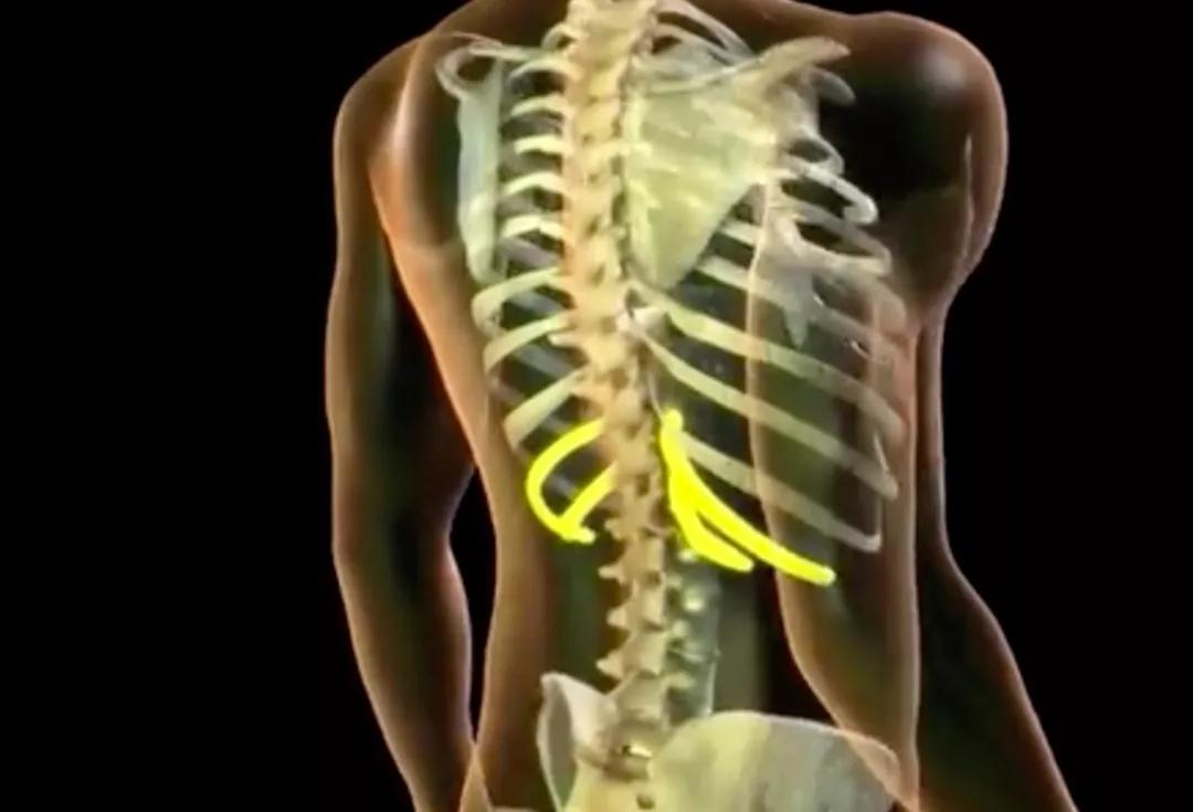 换气与正确呼吸方法,换气技巧唱歌