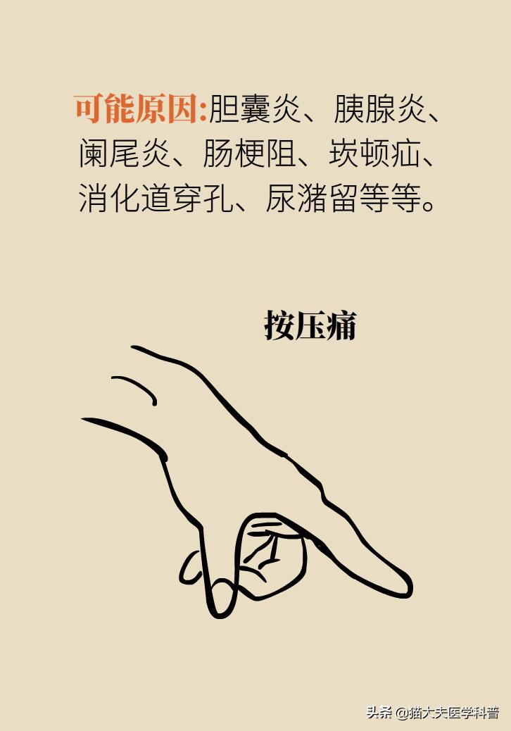 突然毫无征兆的肚子疼怎么办,肚子疼不是胃的问题还可能是什么