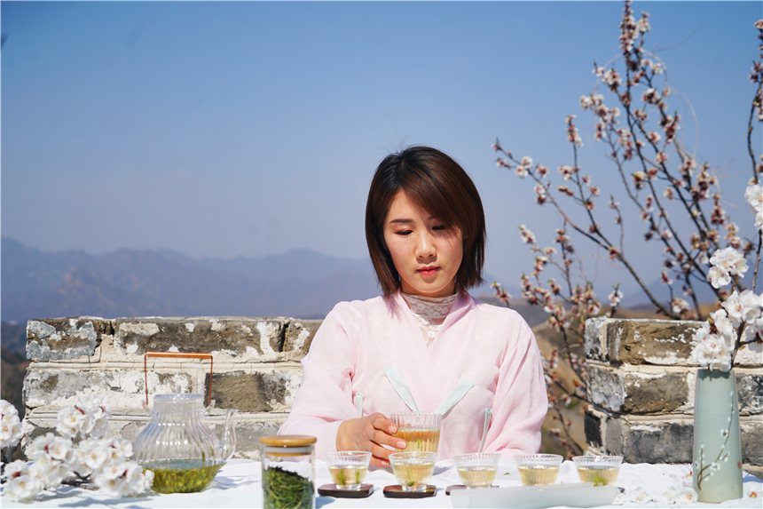 了不起的长城最新视频,了不起的长城是哪一期