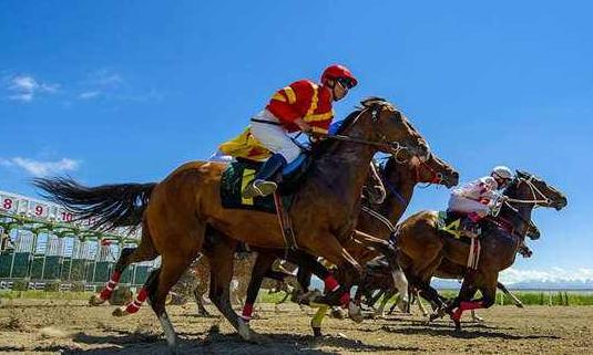 打马球有什么要求吗,打马球要先会马术吗