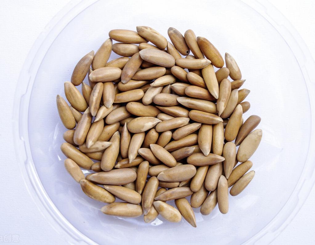 巴西松子为什么不是巴西产的,巴西松子为什么叫巴西松子