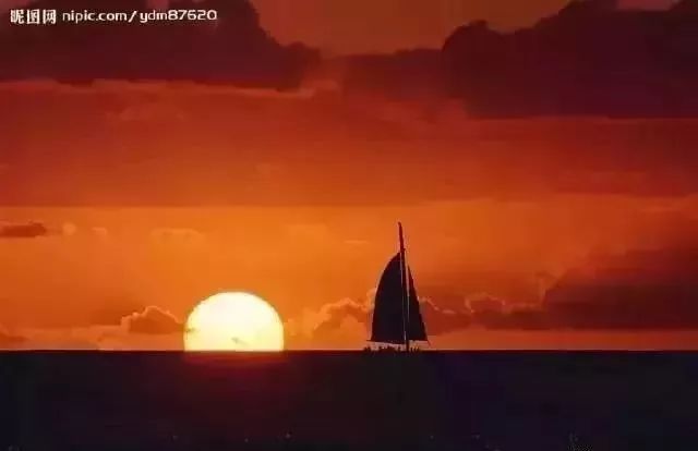 董卿十年全文,董卿阅读分享