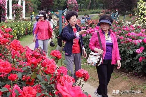 韩国大妈传统发型,韩国大妈和中国大妈的发型的区别