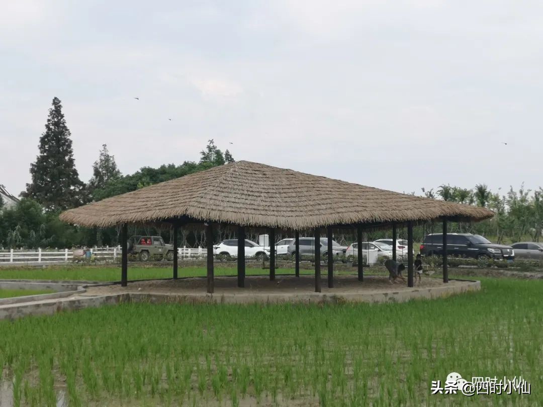 极简风网红民宿,8家网红民宿推荐