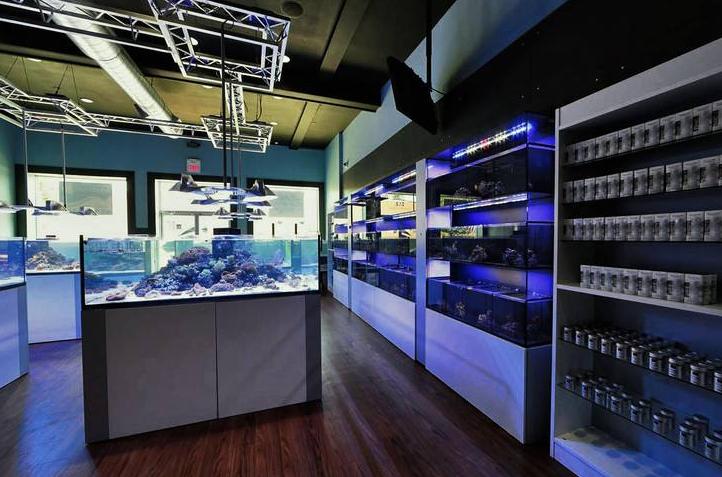 网上购买观赏鱼的注意事项,观赏鱼怎么买最省钱的方法