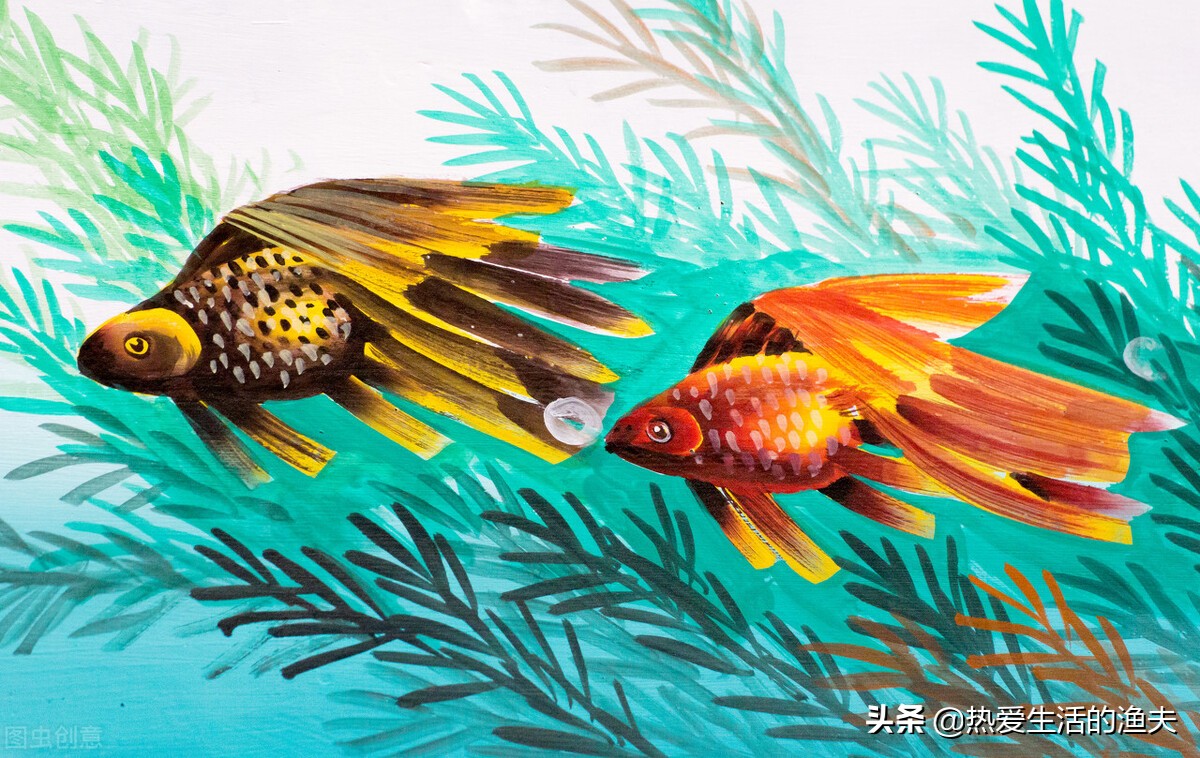 金鱼五六天不喂食会饿死吗,金鱼几天不喂食会不会死掉