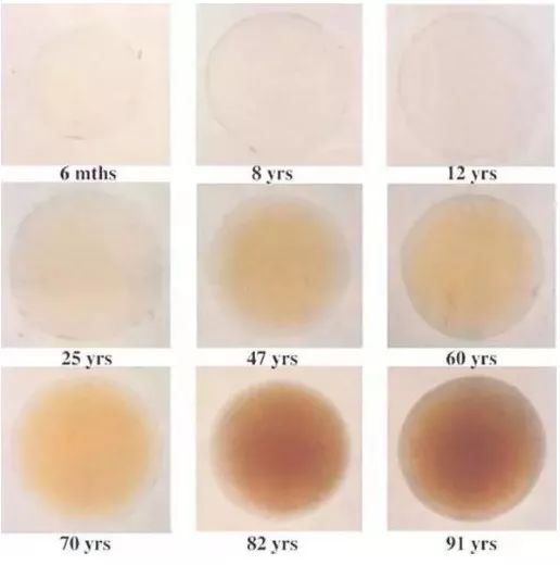 给娃挑太阳镜,孩子怎么选墨镜