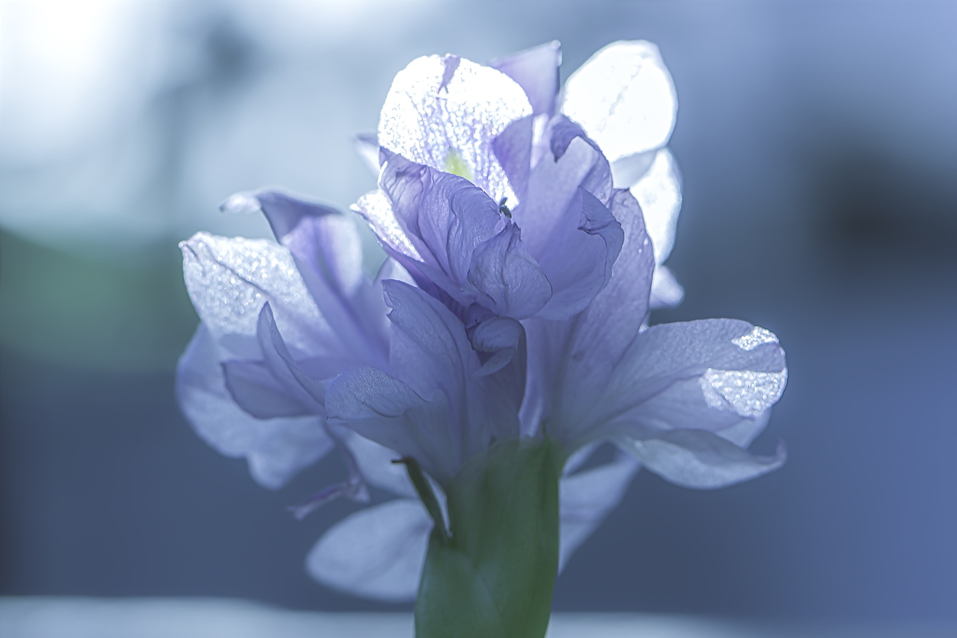 明明世事无常，为什么不学会放手？