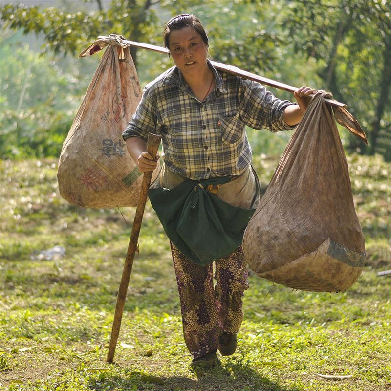 收购价猛涨,收购价飙涨
