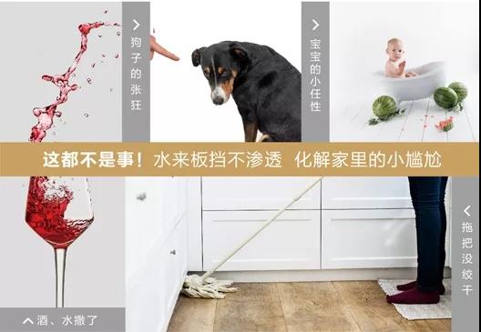 钻石界王老五,钻石王老五南非钻