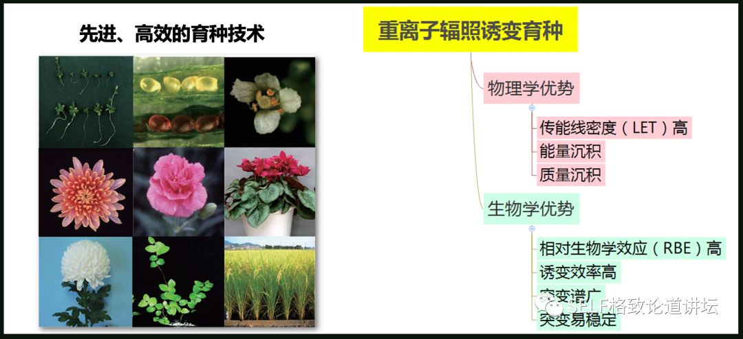 这个装置成功辅助我国两弹爆炸，现在它能治疗肿瘤