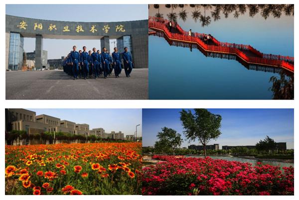 关于安阳职业技术学院的介绍,安阳职业技术学院新闻