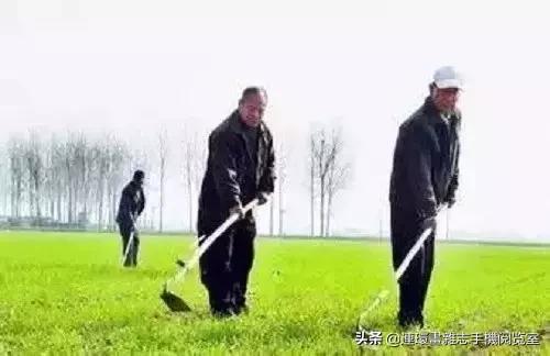 皇帝种地顺口溜,种地插秧顺口溜