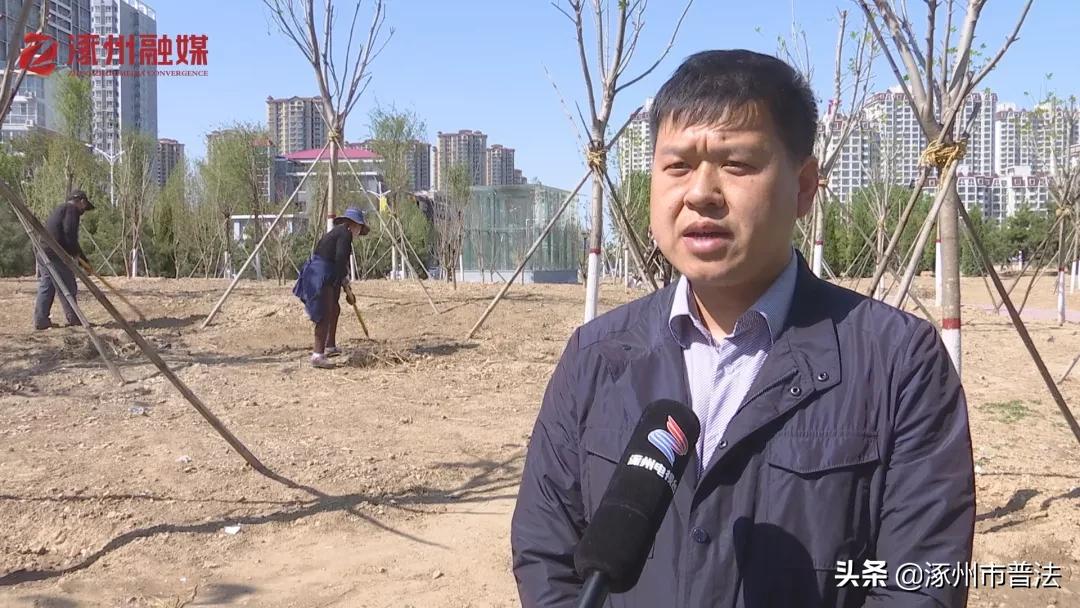 涿州打卡地在哪里,涿州附近网红打卡地