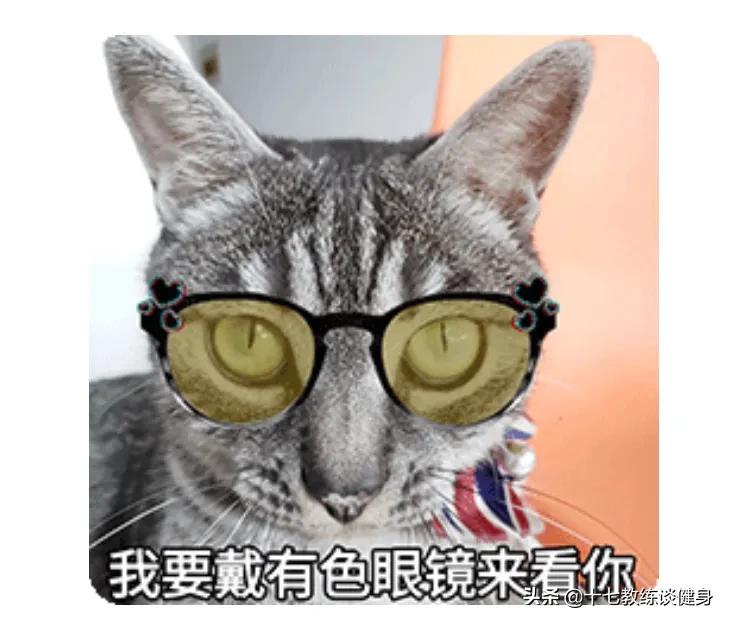 健身减脂要不要吃蛋白粉,健身要吃蛋白质粉还是增肌粉