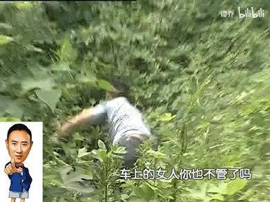 9.5分看完爆哭,10部笑到崩溃的动画电影