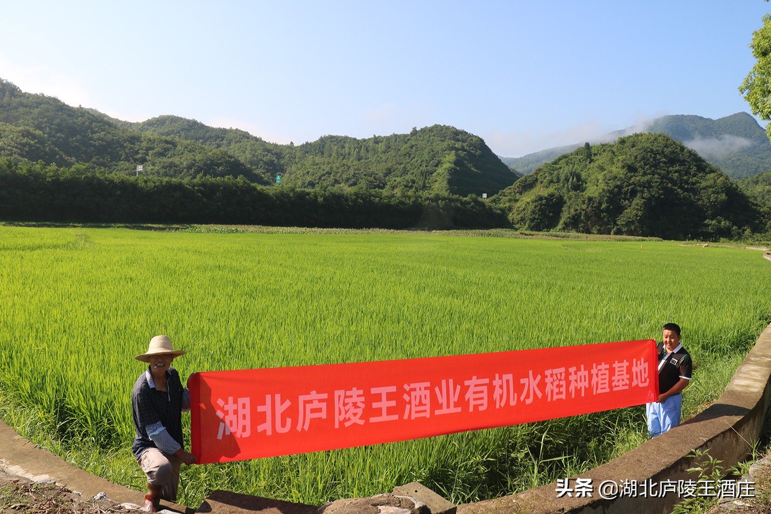 房县黄酒甜的,房县黄酒容易醉吗