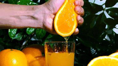 应季水果才能吃得更健康更安全,新鲜应季水果多种吃法