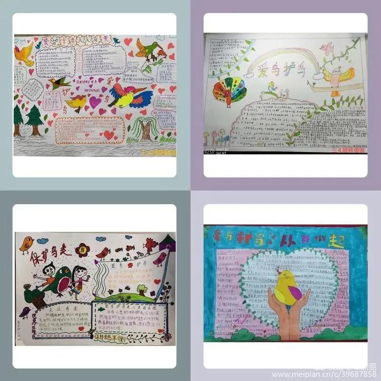 “同心呵护鸟类共建美好家园”建阳麻沙中心小学第38届爱鸟周活动