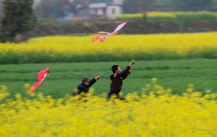 儿童小学必背古诗70首,小学80首必背古诗