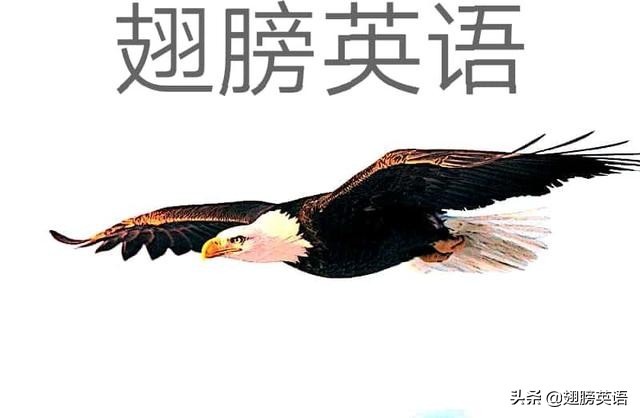 If引导从句表示虚拟语气的用法和结构解析