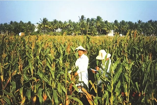 中国最富有的农民：他把玉米种出千亿，自己却不知道上了富豪榜