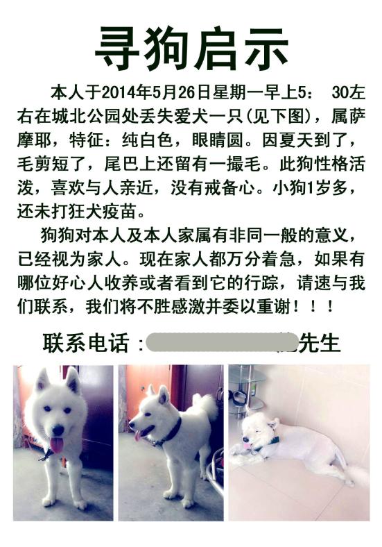 狗狗新到一个环境走丢了,狗狗走丢该怎么寻找它