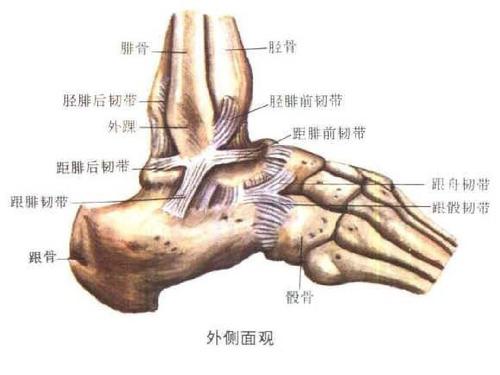 健康战疫锻炼,4个简单小训练强化脚踝防止扭伤