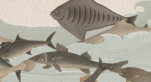 清明上河图到底免不免票,清明上河图是不是免门票