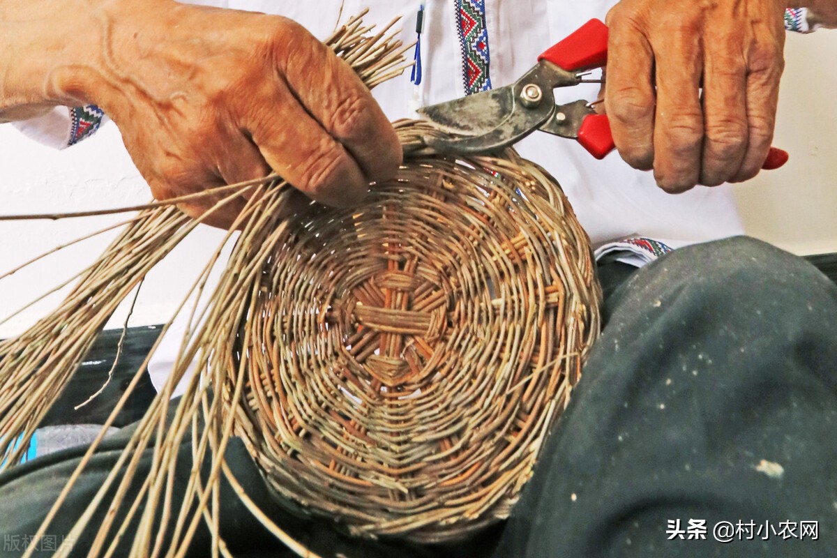 农村年轻人回村创业项目,农村创业致富的路子是什么呢
