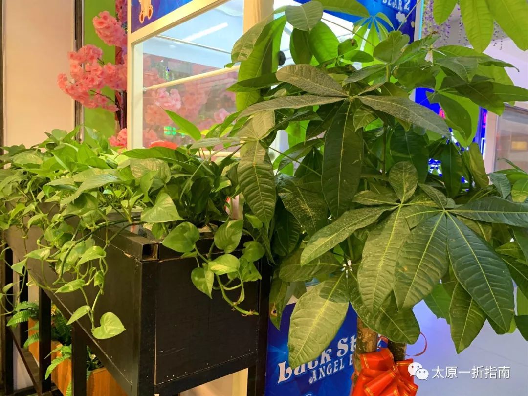 太原一折指南带你去千岛湖渔夫人！千岛湖七岁的鱼是什么样子的呢