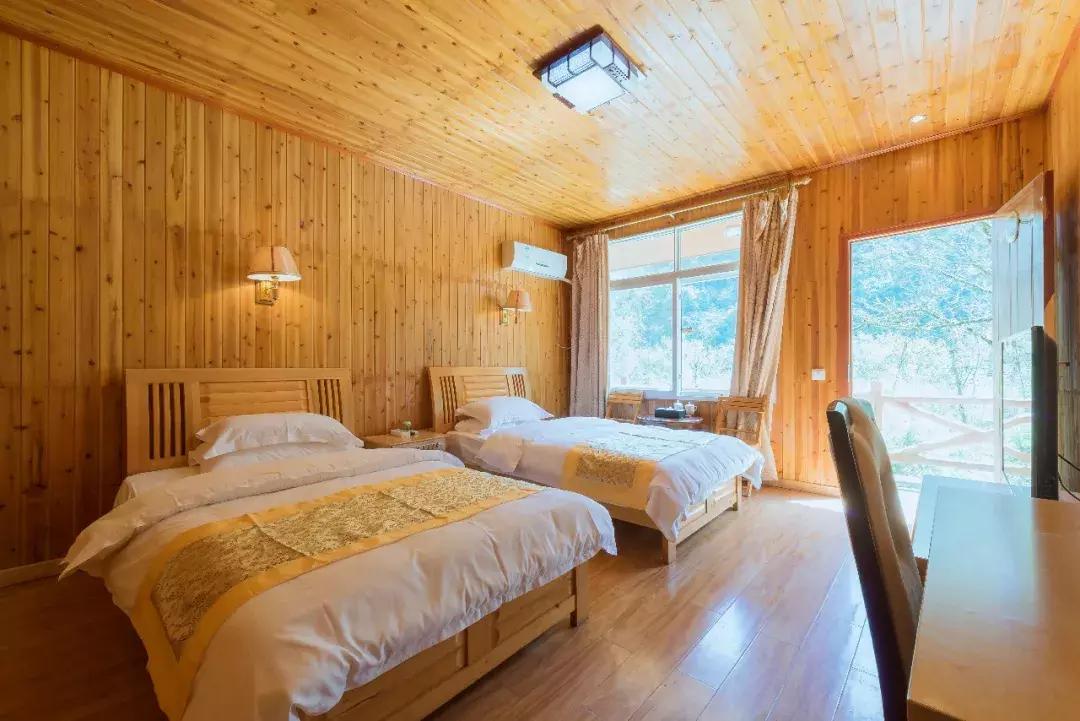 成都自驾百里杜鹃旅游攻略,万亩杜鹃花在青山幽谷