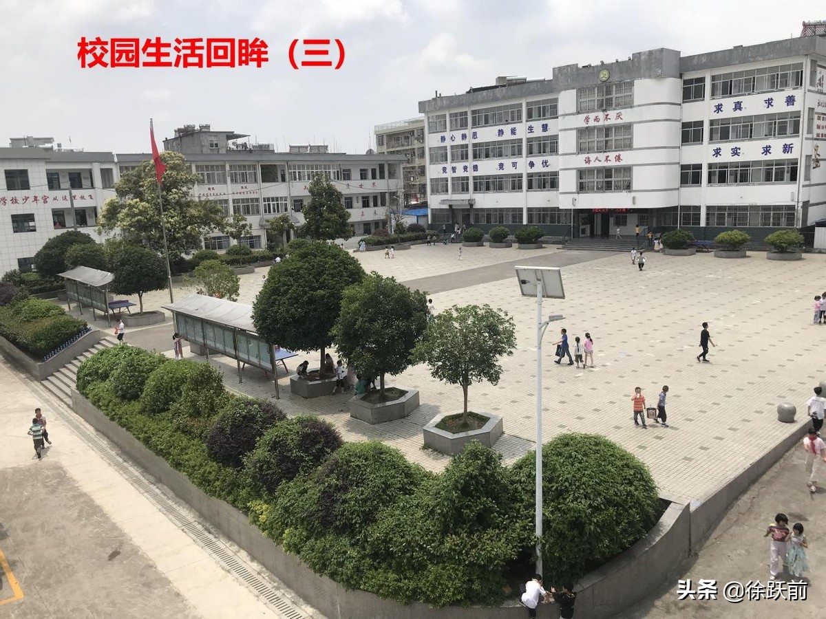 校园生活回眸（三）——徐跃前