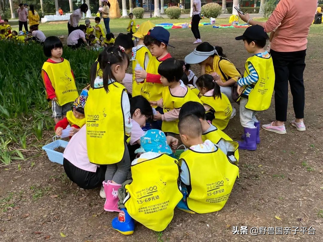 东莞早教班哪家早教中心比较好,早教机构哪家靠谱