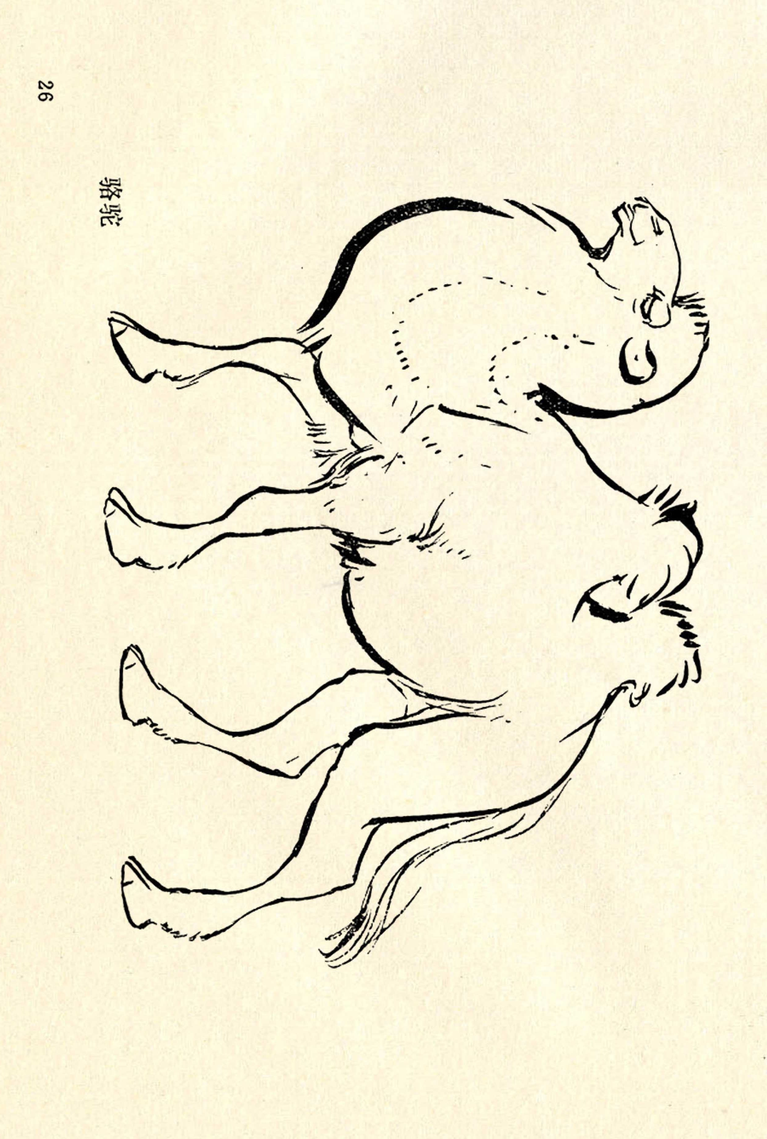 刘继卣画的学习方法,刘继卣动物插画