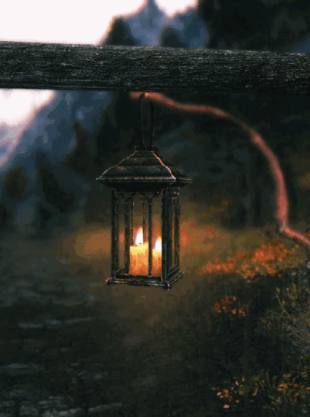 【晚安】万世师表，如果有，他是何等模样？