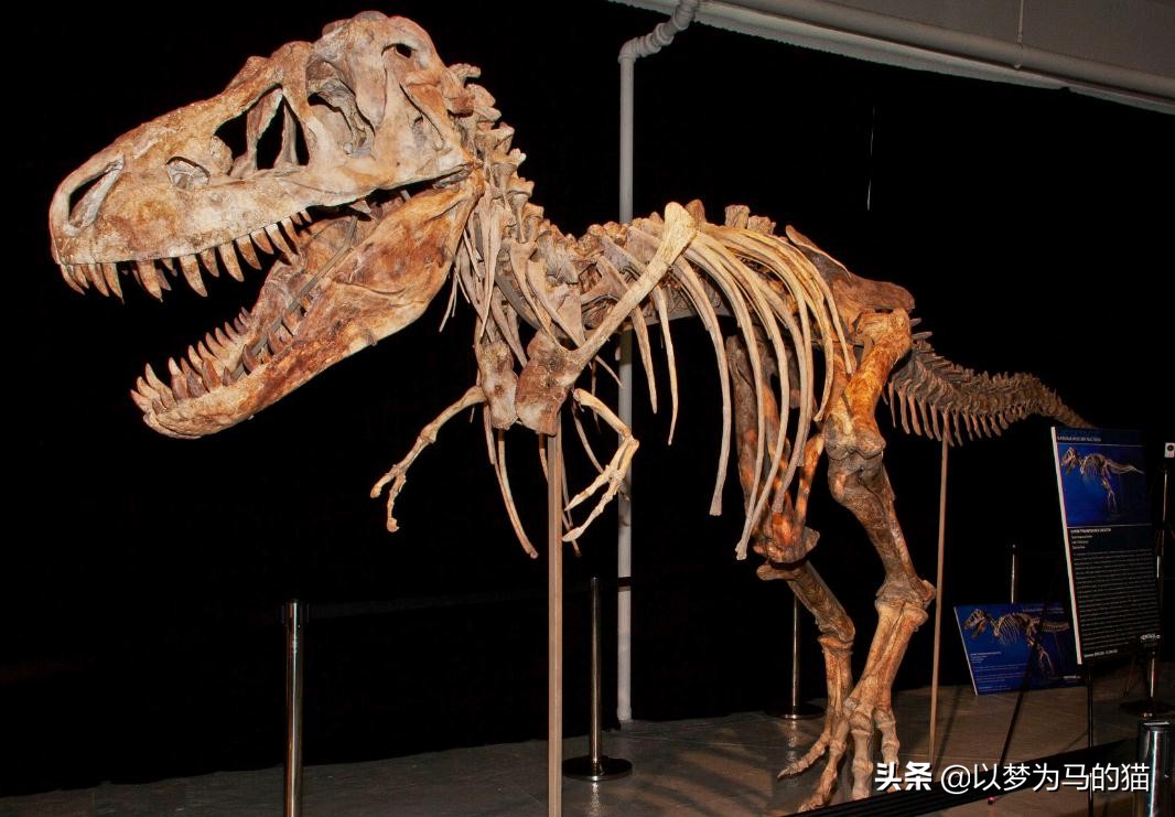 6个冷门却很好就业,6个最冷门大学专业但就业率较高