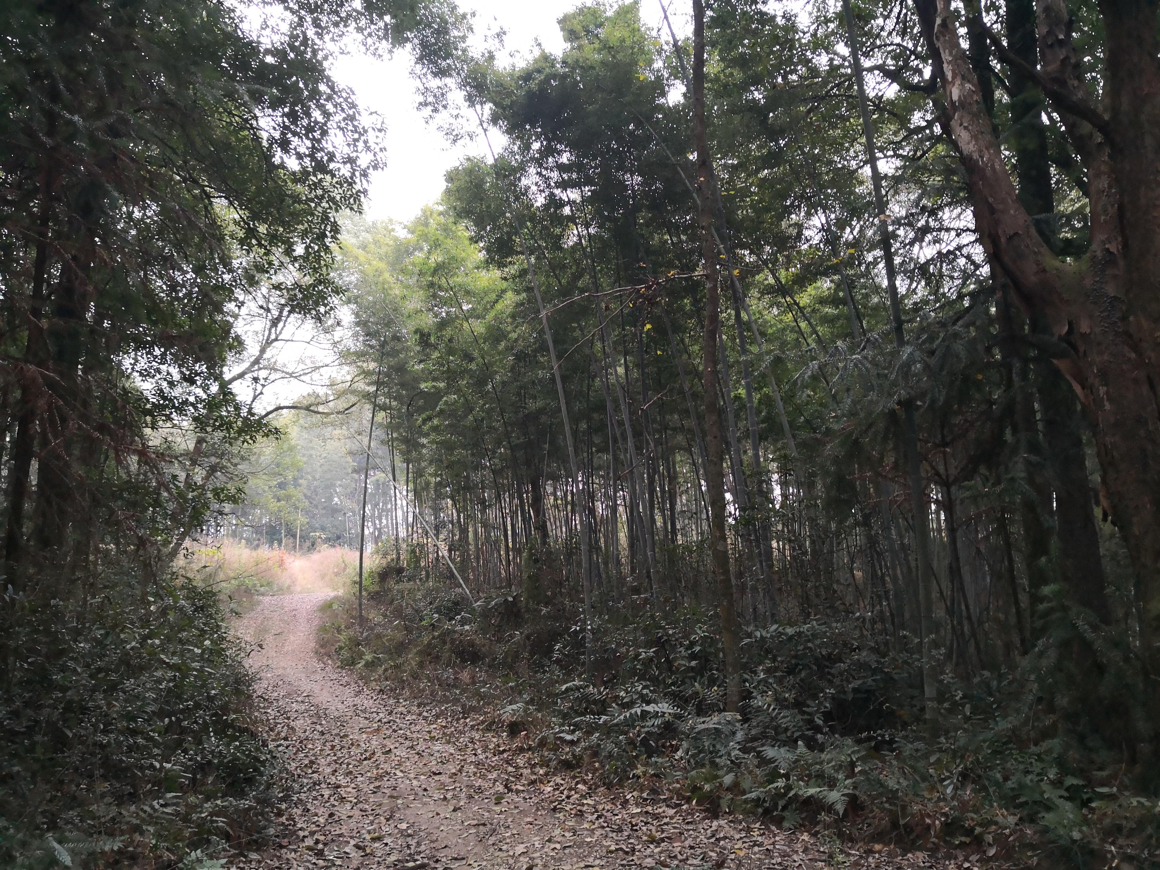 治疗,在你们家乡话中怎么说?(“闲话方言词”之74)