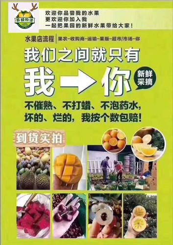 辰颐物语怎样做代理,辰颐物语代理加盟注册