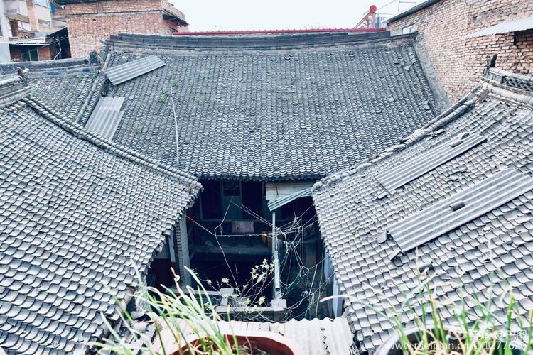 洛阳牡丹节老照片,洛阳牡丹节照片人像